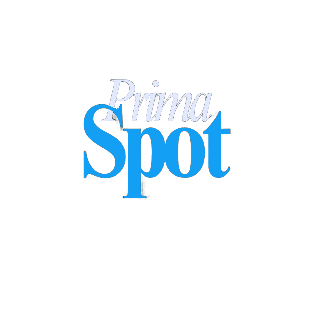 Spot Logo